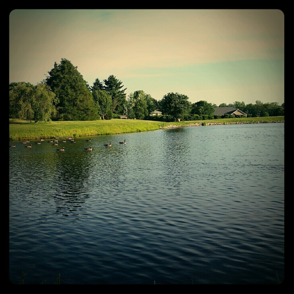 Meet your Posher, Megan